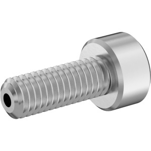 Cleaned&Bagged A2 Vacuum Socket Head Screw High-Vacuum, M3 x 0.5 mm Thread Size, 8mm Long图2